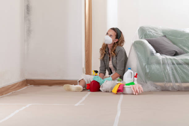 Reliable Mold Remediation contractor in Woodbridge, NJ by Cheap Mold Removal